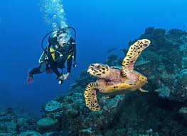 Suba diving in Seychelles